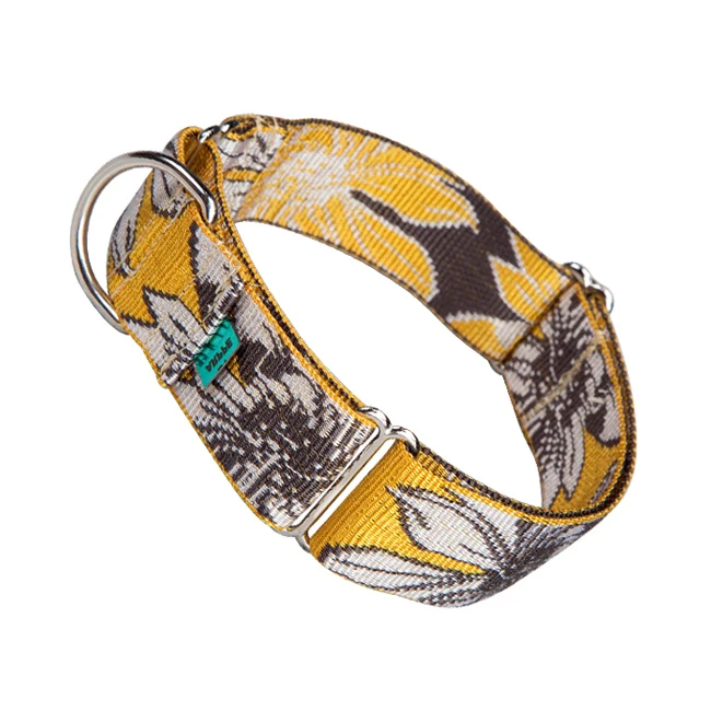 Collar Galgo Floral Amarillo