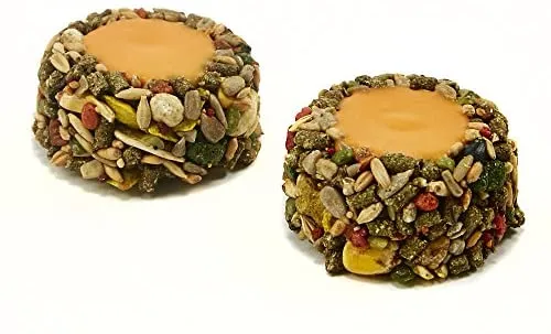 Kaytee - Taza de yogur con sabor a naranja