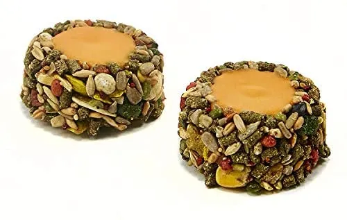 Kaytee - Taza de yogur con sabor a naranja