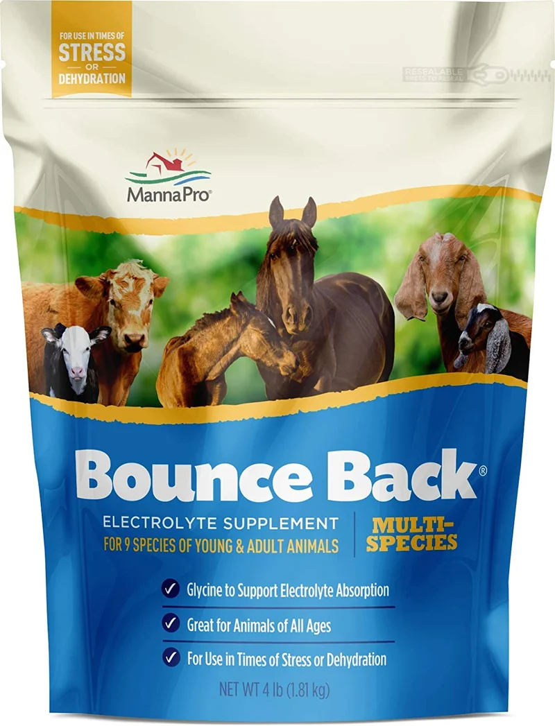 Manna Pro Bounce Back Multiespecies Suplemento electrolito