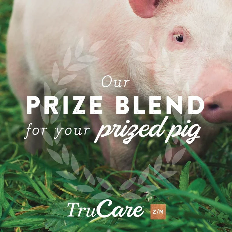 trucare Z/M parte superior-dress Trace mezcla de minerales para multi-species: Cerdos, oveja, Llamas, conejos, Aves de corral (Zinc, Manganeso)