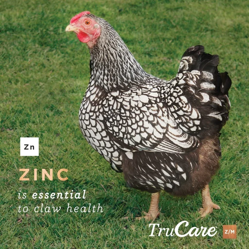 trucare Z/M parte superior-dress Trace mezcla de minerales para multi-species: Cerdos, oveja, Llamas, conejos, Aves de corral (Zinc, Manganeso)