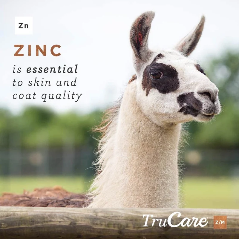 trucare Z/M parte superior-dress Trace mezcla de minerales para multi-species: Cerdos, oveja, Llamas, conejos, Aves de corral (Zinc, Manganeso)