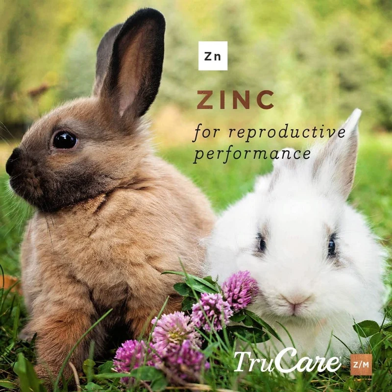 trucare Z/M parte superior-dress Trace mezcla de minerales para multi-species: Cerdos, oveja, Llamas, conejos, Aves de corral (Zinc, Manganeso)