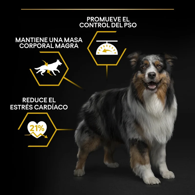 Pro Plan Dog AllSize Adult Light Sterilized Pollo 14kg+2,5kg gratis