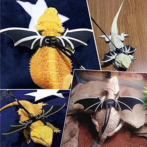 KUDES - Arnés ajustable de piel de dragón (paquete de 3 unidades, S/M/L) con alas frescas para lagarto reptiles, anfibios y otros animales pequeños