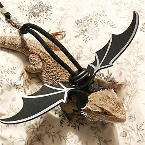 KUDES - Arnés ajustable de piel de dragón (paquete de 3 unidades, S/M/L) con alas frescas para lagarto reptiles, anfibios y otros animales pequeños