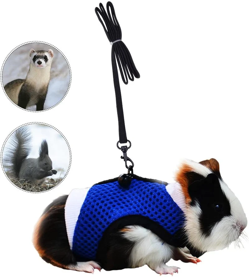 PERSUPER - Arnés de malla suave para mascotas pequeño con campana segura, sin tiro, cómodo chaleco acolchado de nailon duradero y correa ajustable para todas las estaciones para ratas, Iguana, hámster, dragón barbudo