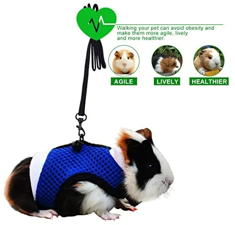 PERSUPER - Arnés de malla suave para mascotas pequeño con campana segura, sin tiro, cómodo chaleco acolchado de nailon duradero y correa ajustable para todas las estaciones para ratas, Iguana, hámster, dragón barbudo