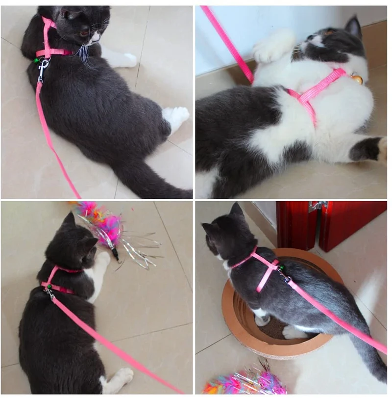 PERSUPER - 2 Pack de arnés de conejo para mascotas para nailon suave, corredores, corredores, arnés de correr con campana segura para conejo, gato, gato, hurón, cachorro y otros animales pequeños