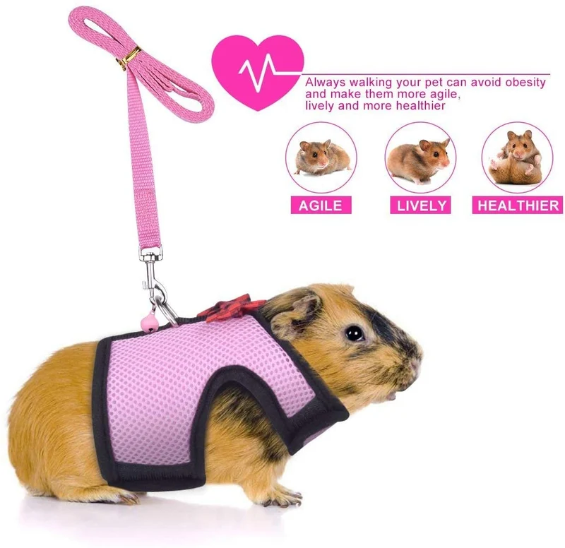 Small Pet Ferret Harness Lessh with Safe Bell, No Pull Comfort Padded Vest Durable Nylon Guinea Pig Harness and Leash Set Adjustable All Season for Rats, Iguana, Hamster, Bearded Dragon and Small Dog