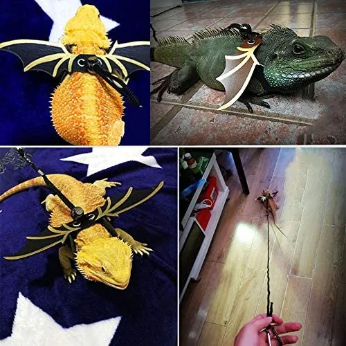 ADOGGYGO - Juego de arnés de hamaca con diseño de dragón y lagarto, 2 unidades + 3 unidades de arnés de dragón para reptiles
