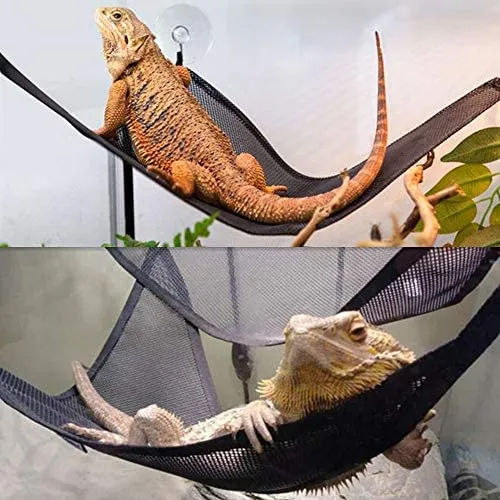 ADOGGYGO - Juego de arnés de hamaca con diseño de dragón y lagarto, 2 unidades + 3 unidades de arnés de dragón para reptiles