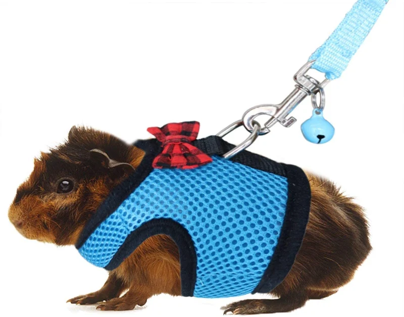 Arnés y correa de RYPET con diseño de cobaya, malla suave, arnés pequeño para mascotas con campana segura, chaleco acolchado sin tirones para cobayas, hurones, chinchchilla y animales pequeños similares