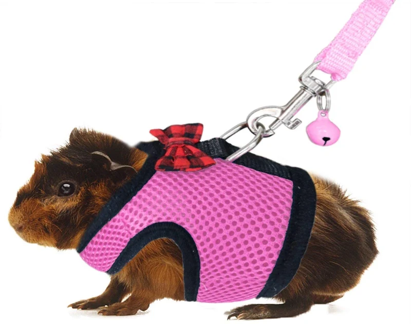 Arnés y correa de RYPET con diseño de cobaya, malla suave, arnés pequeño para mascotas con campana segura, chaleco acolchado sin tirones para cobayas, hurones, chinchchilla y animales pequeños similares