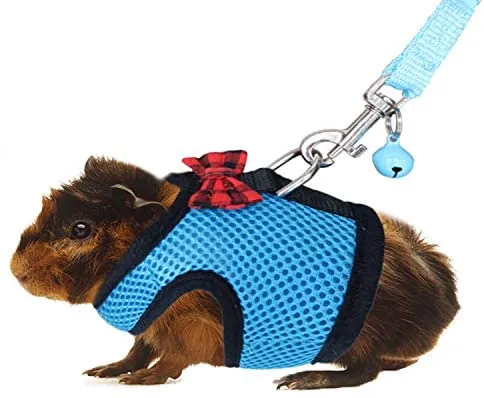 Arnés y correa de RYPET con diseño de cobaya, malla suave, arnés pequeño para mascotas con campana segura, chaleco acolchado sin tirones para cobayas, hurones, chinchchilla y animales pequeños similares