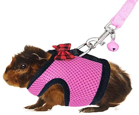 Arnés y correa de RYPET con diseño de cobaya, malla suave, arnés pequeño para mascotas con campana segura, chaleco acolchado sin tirones para cobayas, hurones, chinchchilla y animales pequeños similares