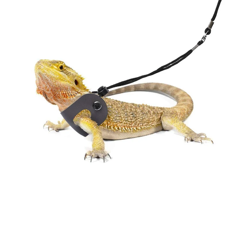 POLKASTORE Arnés y correa de dragón barbudo ajustable (S, M, L, 3 unidades) – Correa de piel suave para anfibios y otros animales de mascotas pequeños