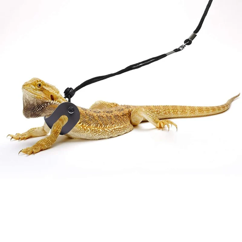POLKASTORE Arnés y correa de dragón barbudo ajustable (S, M, L, 3 unidades) – Correa de piel suave para anfibios y otros animales de mascotas pequeños