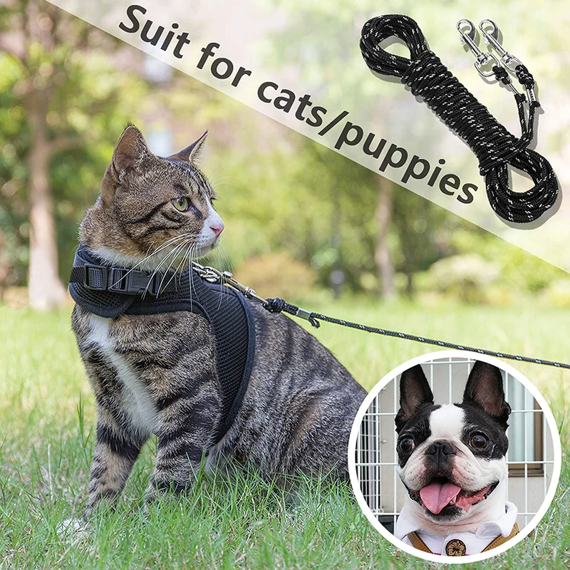 Correa reflectante para gato, a prueba de escapes, de 26 pies, correa larga y duradera, segura y personalizada, para jugar al aire libre para cachorros/gatitos/conejos/animales pequeños