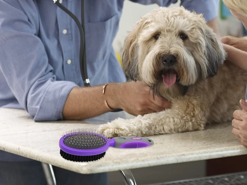 Hertzko – Brocha de cerdas y alfileres de doble cara para perros y gatos con pelo largo o corto – cerdas densas que eliminan el pelo suelto de la capa superior y peine de pines que elimina los enredos y la capa inferior muerta