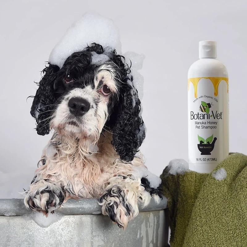 botanivet Miel de Manuka Pet Champú Orgánico Certificado 16 oz – 100% Ingredientes Naturales – Veterinaria Dermatólogo formulado para alergias y prurito