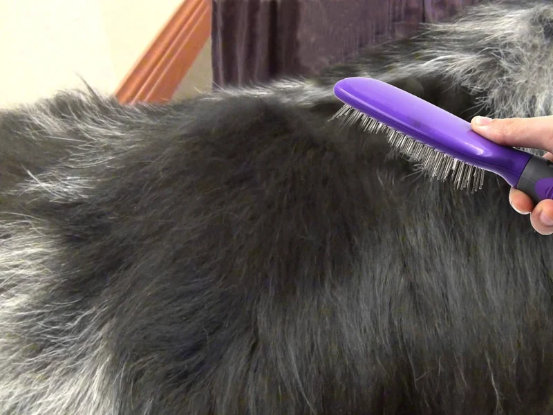 Pet cepillo para polvo por hertzko – Ideal para desenredar y quitar Loose UNDERCOAT o Galpón Fur – adecuado para perros y gatos con largas o de pelo corto – Ideal para cepillado diario