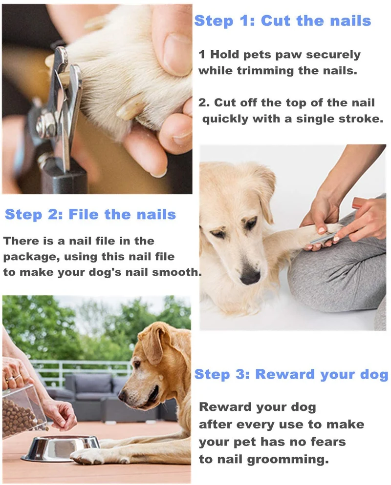 Dog Nail Clippers Pet Nail Trimmers Nail File Set Razor Sharp Blades Safety Guard Sturdy Non Slip Handles Professional Grooming Tool for Large and Small Animals Vet Recommended (BIUE1)