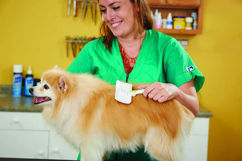 Andis Pet flexible Animal Rastrillo Peine