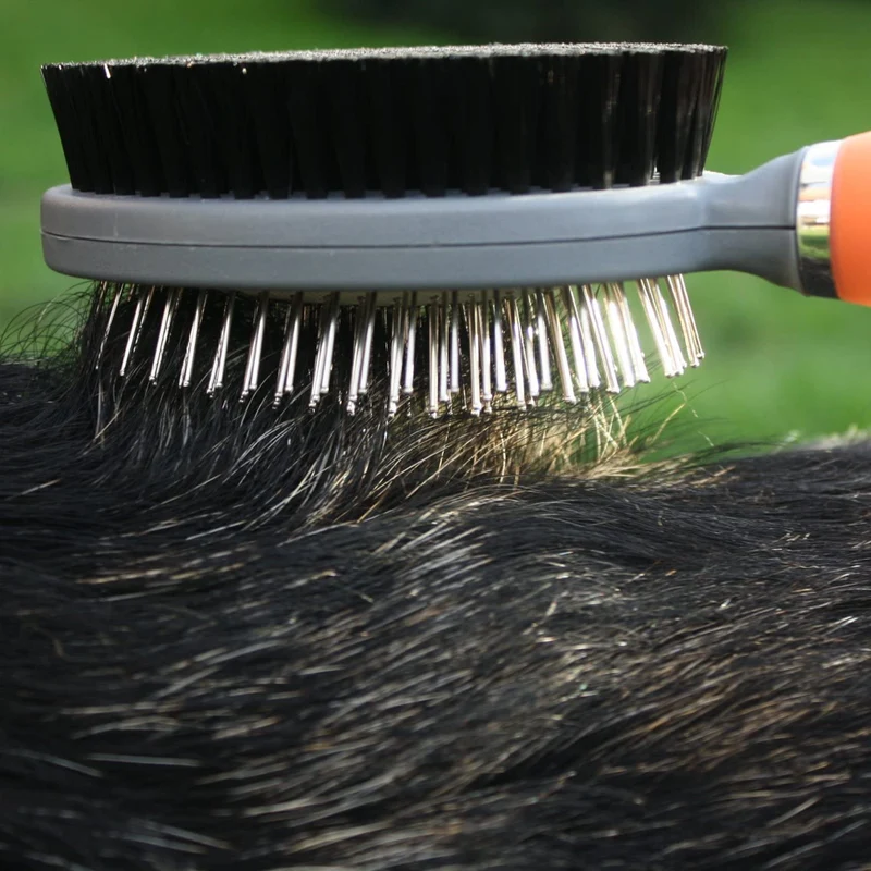 Alfiler de doble cara profesional y cepillo de cerdas para perros y gatos por GoPets peine de limpieza limpia mascotas mudando, para pelo corto, mediano o largo