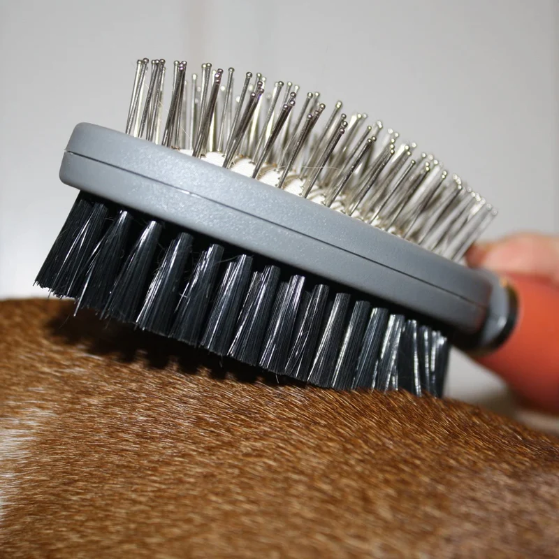 Alfiler de doble cara profesional y cepillo de cerdas para perros y gatos por GoPets peine de limpieza limpia mascotas mudando, para pelo corto, mediano o largo