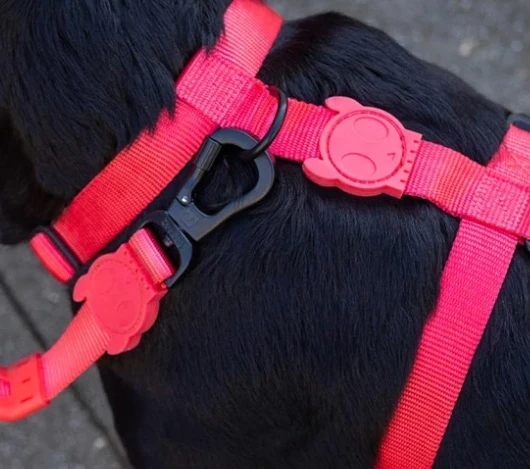 Zee.Dog Neon Coral Harness