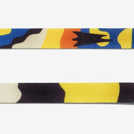 ZeeDog Collar Artsy