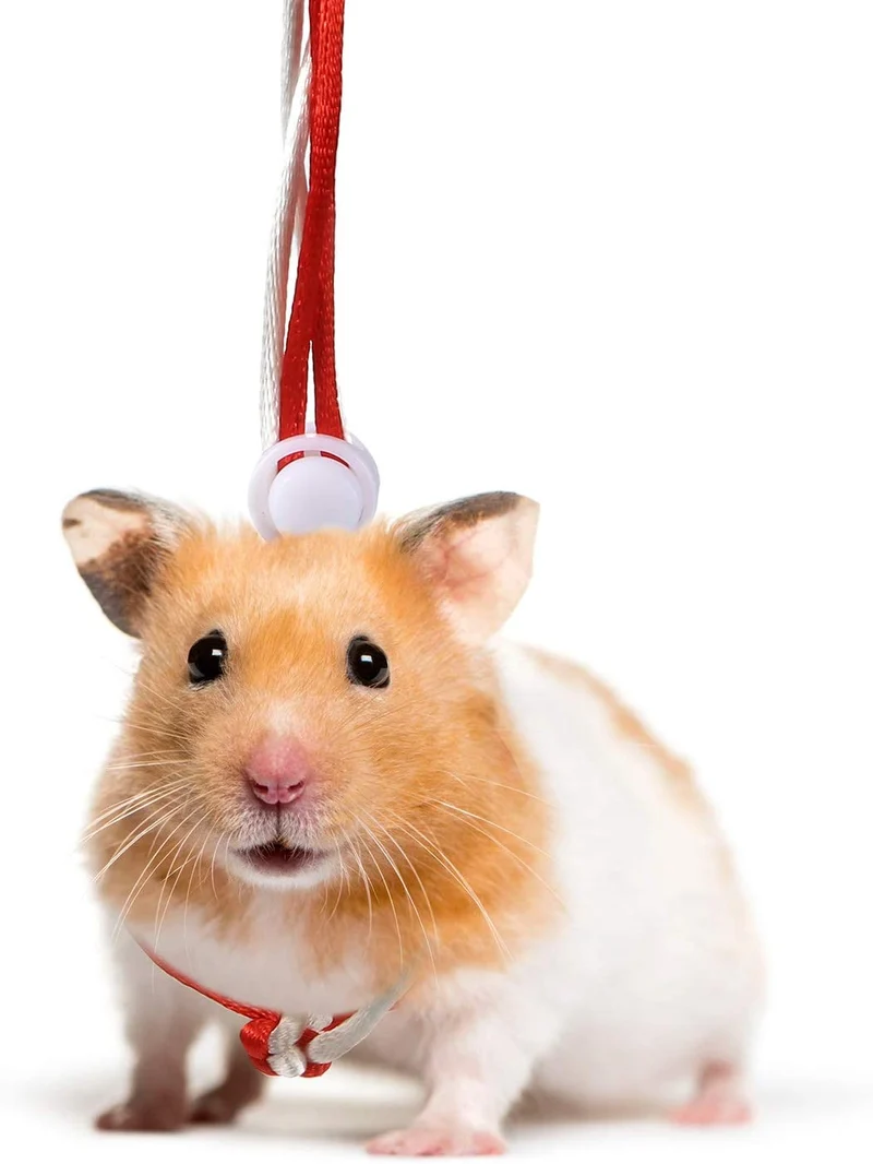 Frienda 4 Pieces Adjustable Hamster Leash Small Animal Harness Rope Harness Towing Rope for Walking Pet Hamster Squirrel, 4 Colors