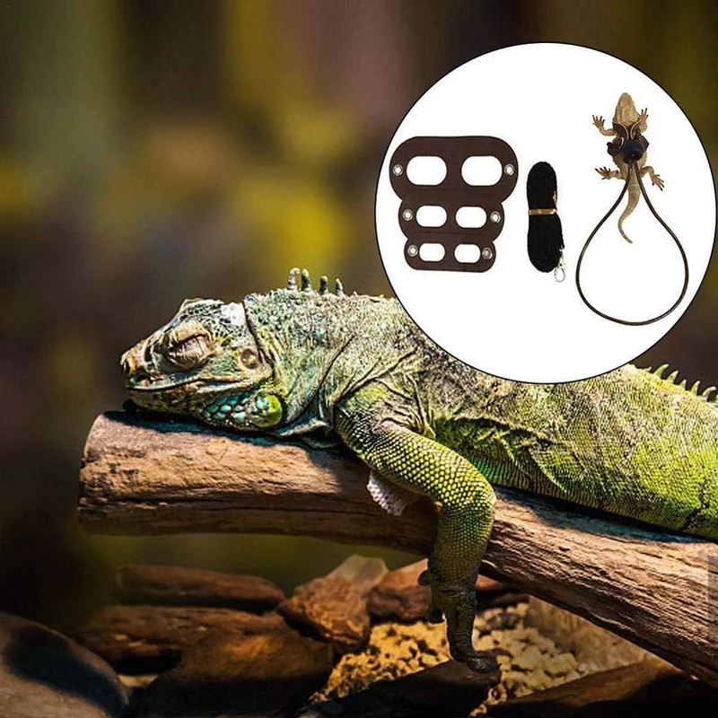Bigbigjk - Juego de 2 correas de dragón (S, M, L, 2 unidades), arnés de dragón con barba, arnés ajustable para reptiles con correa de lagarto, anfibios de correa de gecko, correas para mascotas de animales pequeños (3 tamaños)