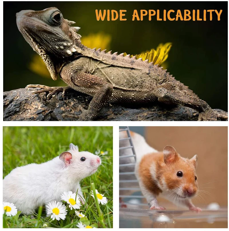 Bigbigjk - Juego de 2 correas de dragón (S, M, L, 2 unidades), arnés de dragón con barba, arnés ajustable para reptiles con correa de lagarto, anfibios de correa de gecko, correas para mascotas de animales pequeños (3 tamaños)