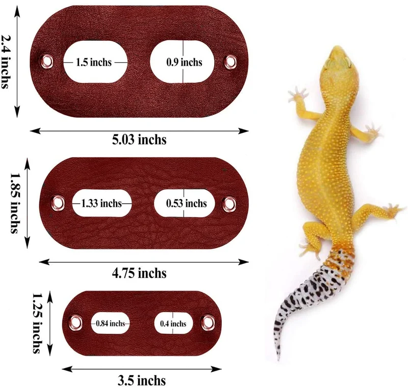 Bigbigjk - Juego de 2 correas de dragón (S, M, L, 2 unidades), arnés de dragón con barba, arnés ajustable para reptiles con correa de lagarto, anfibios de correa de gecko, correas para mascotas de animales pequeños (3 tamaños)