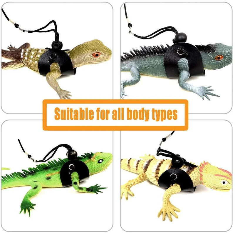 Bigbigjk - Juego de 2 correas de dragón (S, M, L, 2 unidades), arnés de dragón con barba, arnés ajustable para reptiles con correa de lagarto, anfibios de correa de gecko, correas para mascotas de animales pequeños (3 tamaños)