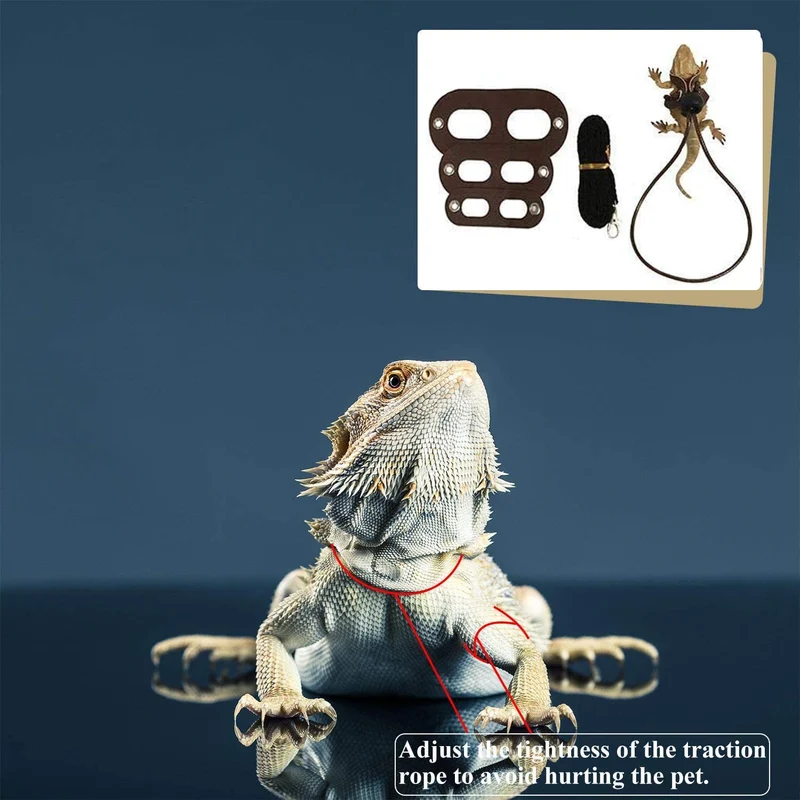 Bigbigjk - Juego de 2 correas de dragón (S, M, L, 2 unidades), arnés de dragón con barba, arnés ajustable para reptiles con correa de lagarto, anfibios de correa de gecko, correas para mascotas de animales pequeños (3 tamaños)