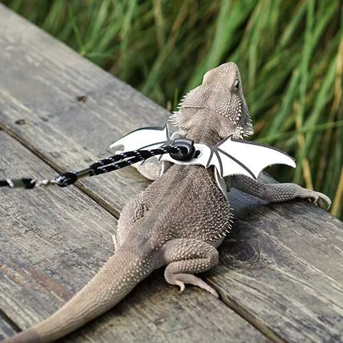 WATFOON - Arnés de piel de reptil con alas ajustables con correa de dragón, anfibios de lagarto, camaleón, cobaya, hurones, hámster, ratas, animales pequeños