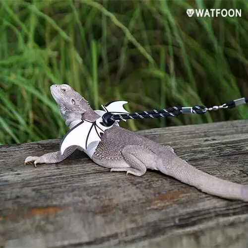 WATFOON - Arnés de piel de reptil con alas ajustables con correa de dragón, anfibios de lagarto, camaleón, cobaya, hurones, hámster, ratas, animales pequeños