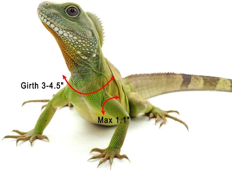 Mihachi Arnés de dragón ajustable de piel suave para amphibianos pequeños y medianos y otros animales pequeños de mascotas