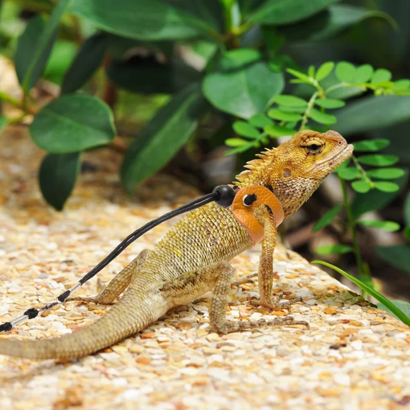 Mihachi Arnés de dragón ajustable de piel suave para amphibianos pequeños y medianos y otros animales pequeños de mascotas