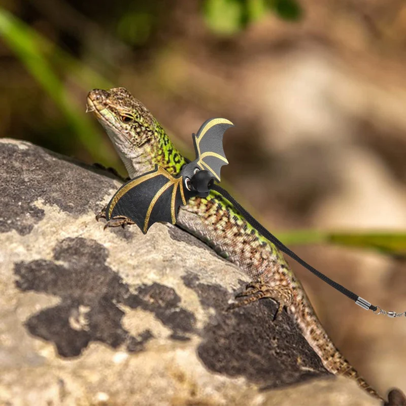 Frienda 6 piezas ajustable Lizard Leash Reptile Arnés de dragón con correa Gecko con alas de cuero para Lizards Anfibios y animales pequeños de mascotas, 3 tamaños