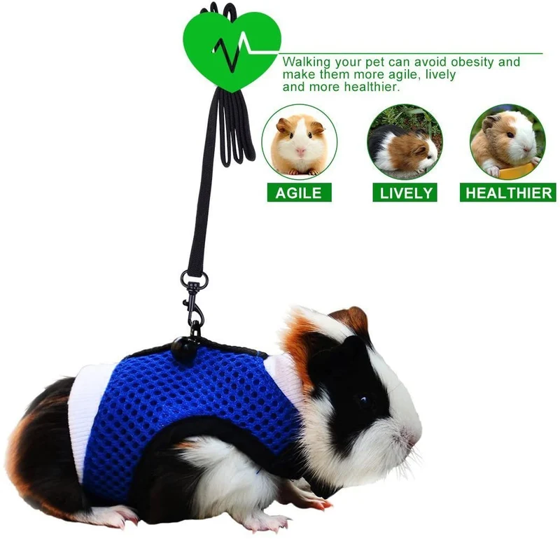 PERSUPER - Soft Mesh Small Pet Harness with Bell, No Pull Comfort Padded Vest Durable Nylon，Guinea Pig Harness and Leash Set， All Season for Bunny, Ferret， Rats, Iguana, Hamster, Bearded Dragon