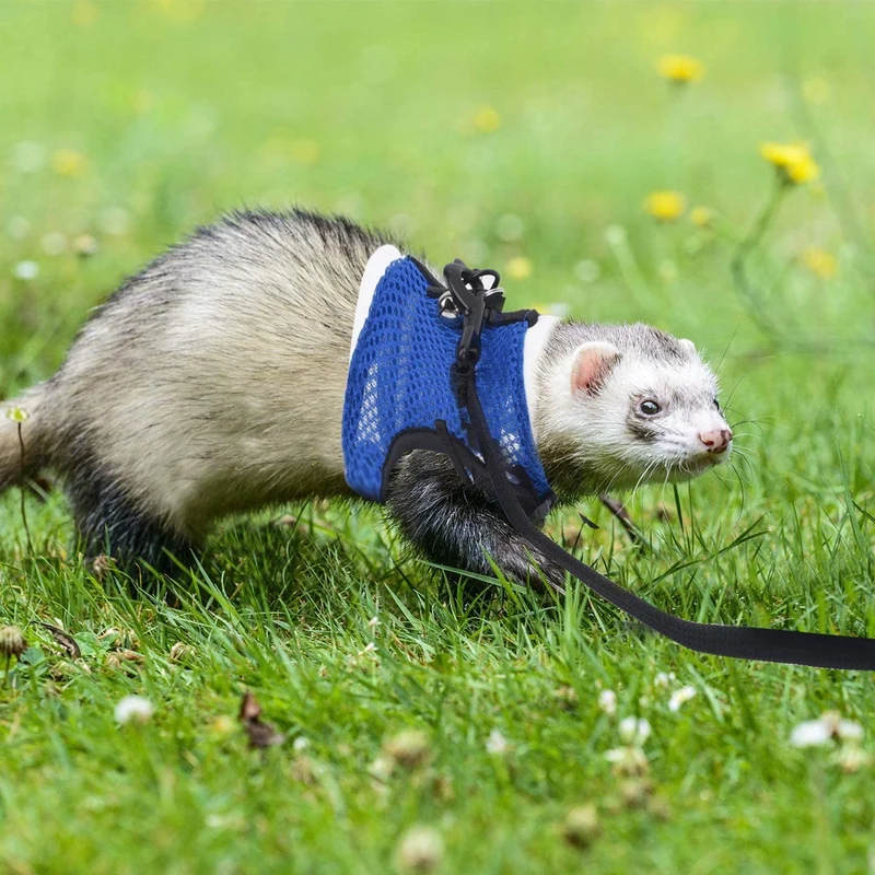 PERSUPER - Soft Mesh Small Pet Harness with Bell, No Pull Comfort Padded Vest Durable Nylon，Guinea Pig Harness and Leash Set， All Season for Bunny, Ferret， Rats, Iguana, Hamster, Bearded Dragon