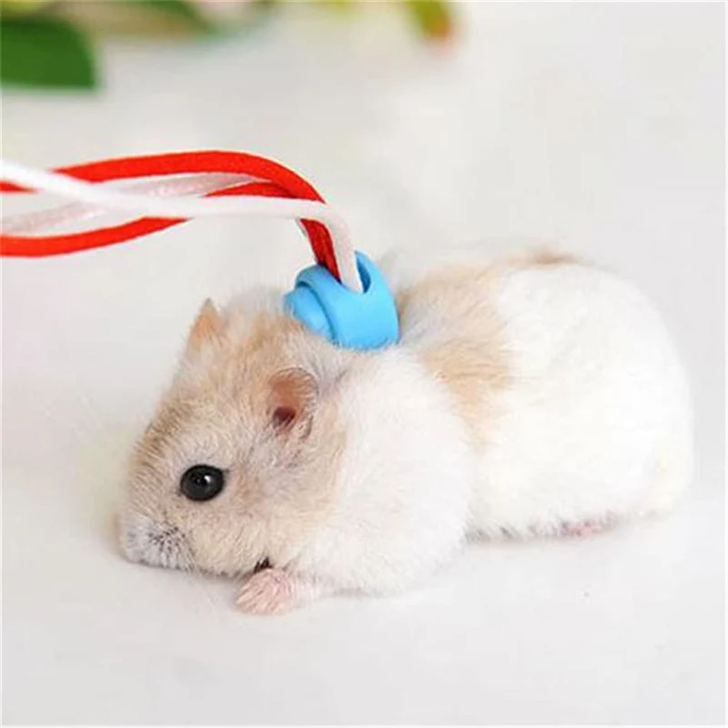 extender Animal Pequeño Leash Lead Arnés Cuerda hámster rata mouse ajustable cuerda