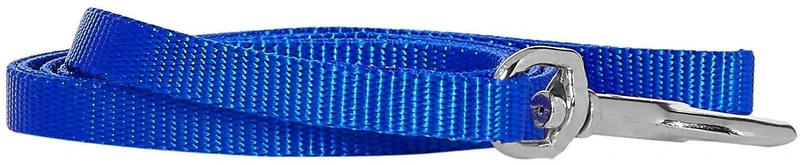 Coastal Correa del perro Pequeño – 4 ft. Azul con una anchura de 3/8 in., s, Azul