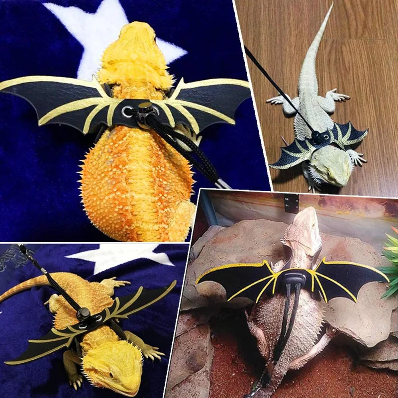 Nobranded Lizard Harness Bearded Dragon Leash and Belt Hammock National Flag Hat 7 pc Set, Adjustable Amphibian and Other Small Pet Reptile Harness （S, M, L ）+ 1 Straw Hat + 1 Hammock