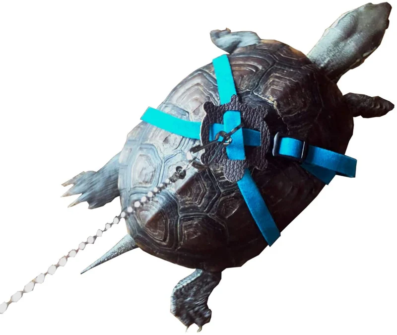 Vehomy - Correa para tortuga, diseño de lagarto